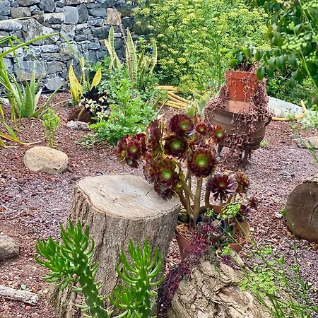 Madeira Protea Retreat- With Heated Private Pool, Gym And Office *