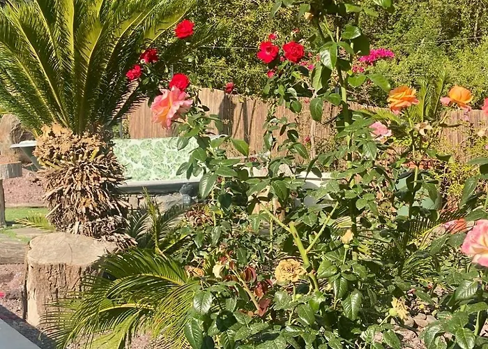 Villa Madeira Protea Retreat- With Heated Private Pool, Gym And Office