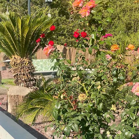 Villa Madeira Protea Retreat- With Heated Private Pool, Gym And Office