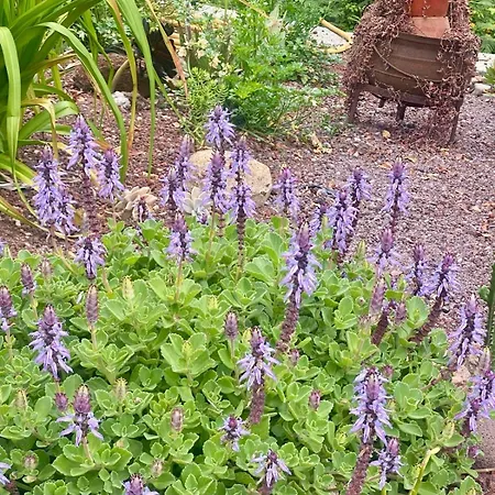 Madeira Protea Retreat- With Heated Private Pool, Gym And Office *