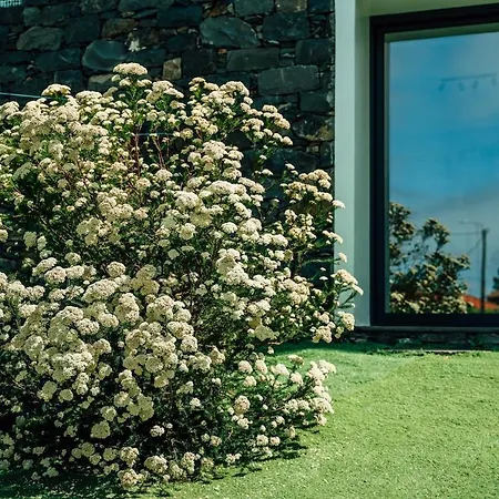 Madeira Protea Retreat- With Heated Private Pool, Gym And Office Villa Campanario