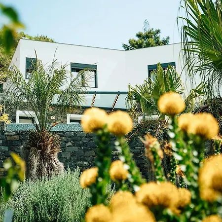 Madeira Protea Retreat- With Heated Private Pool, Gym And Office ヴィラ *