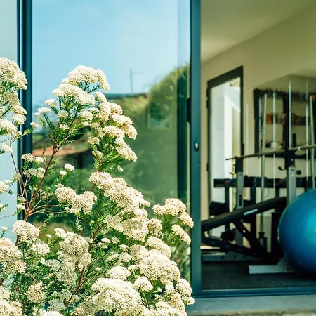Madeira Protea Retreat- With Heated Private Pool, Gym And Office Villa *