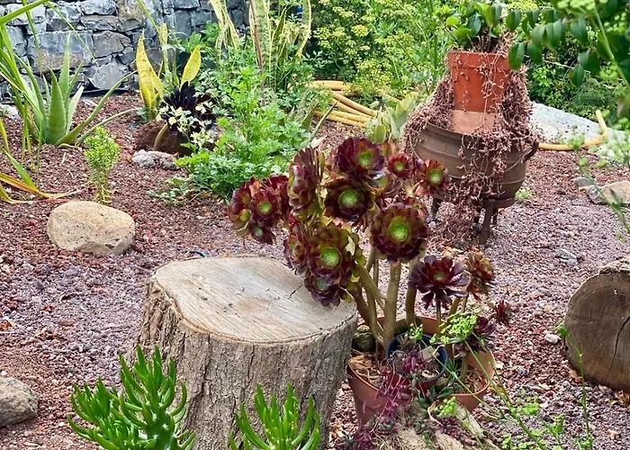 Madeira Protea Retreat- With Heated Private Pool, Gym And Office *