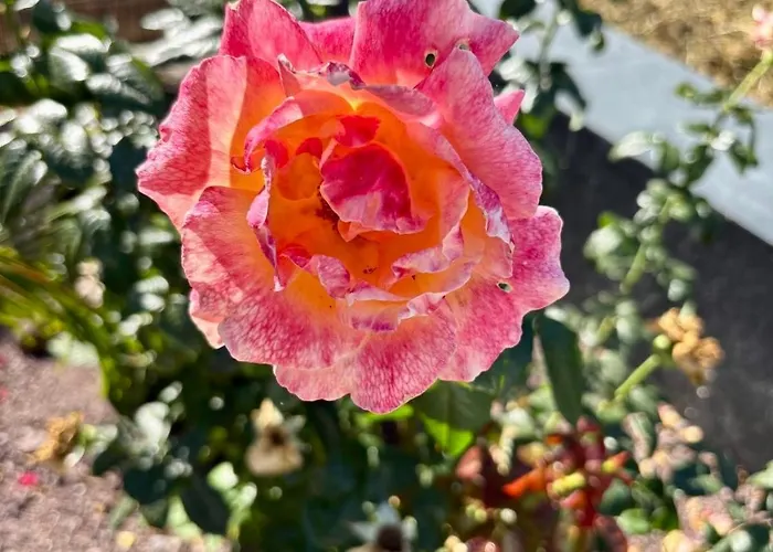 Madeira Protea Retreat- With Heated Private Pool, Gym And Office *